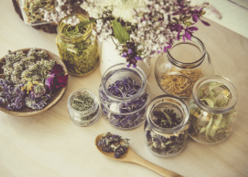 Herbs and Roots | CrowsMoon.com